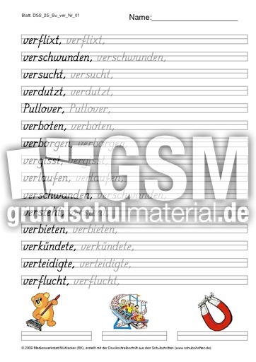 DSS_2S_Bu_ver_Nr_01.pdf